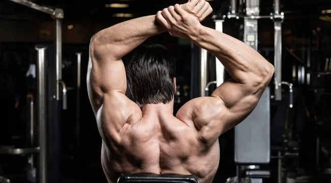 best shoulder workout at the gym